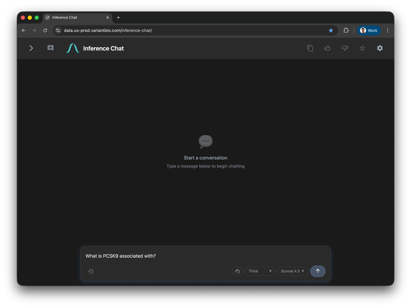 Inference Chat animation